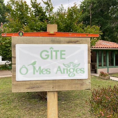 Villa 8 Personnes O Mes Anges サン・ジュリアン・アン・ボルヌ エクステリア 写真